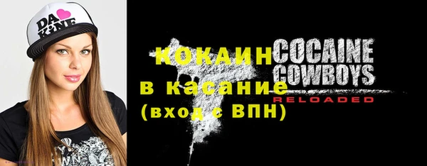 индика Балахна