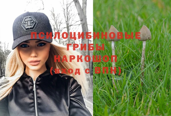 мдпв Протвино
