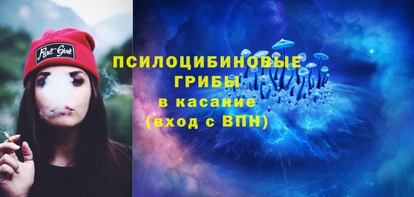 индика Балахна