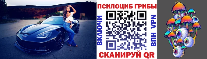 где продают наркотики Белый Псилоцибиновые грибы мицелий